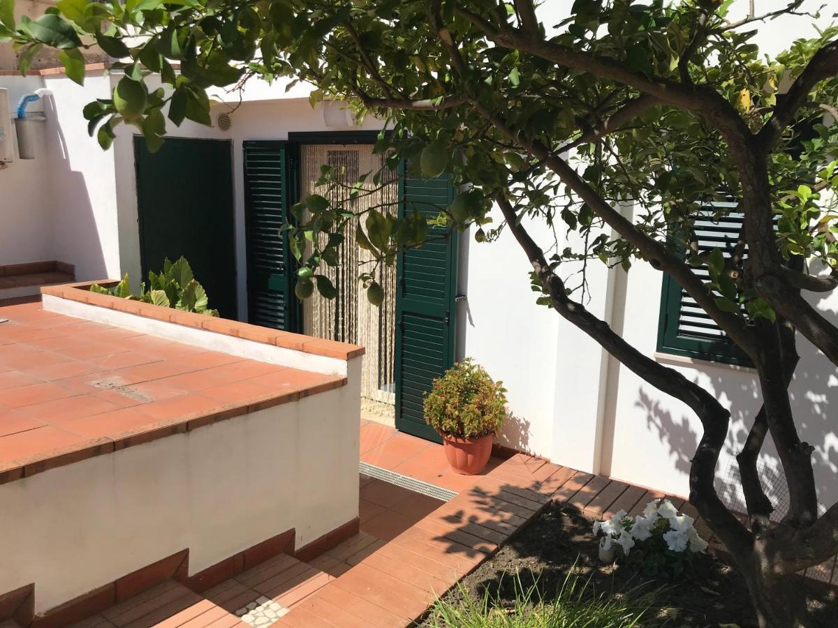 Apartmán Casa Dorotea Nuova Gibellina Exteriér fotografie